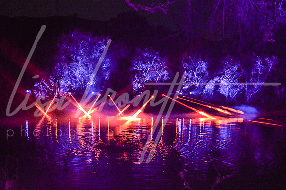 Enchanted Forest (nw)-131