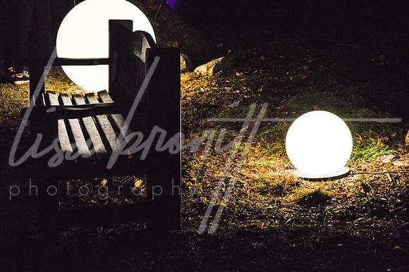 Enchanted Forest (nw)-140