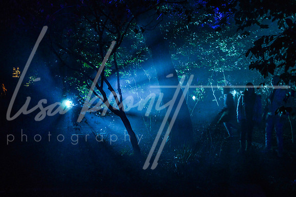 Enchanted Forest (nw)-178