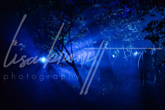 Enchanted Forest (nw)-179