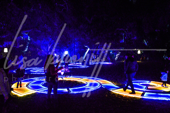 Enchanted Forest (nw)-192