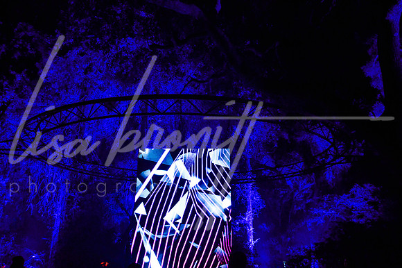 Enchanted Forest (nw)-204