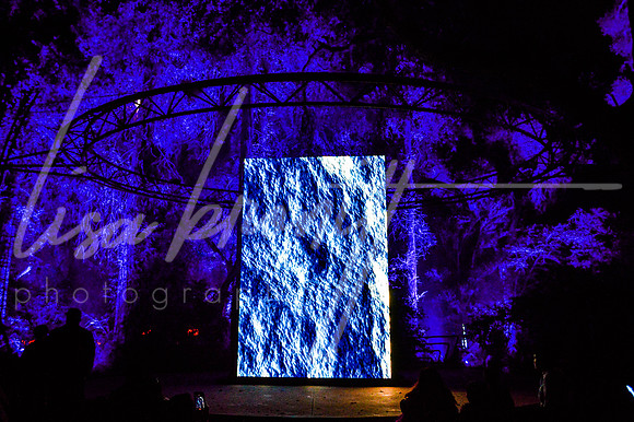 Enchanted Forest (nw)-211