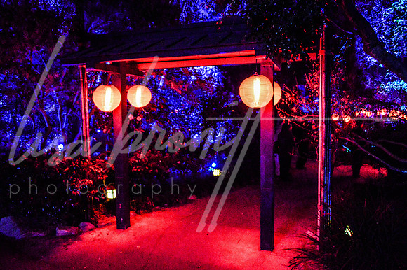 Enchanted Forest (nw)-216
