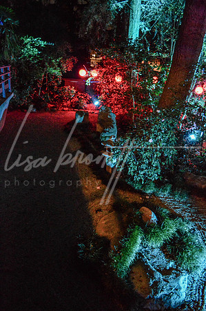 Enchanted Forest (nw)-260