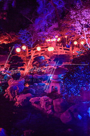 Enchanted Forest (nw)-265