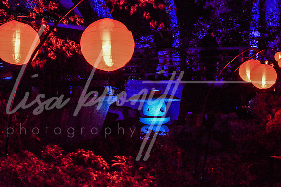 Enchanted Forest (nw)-278