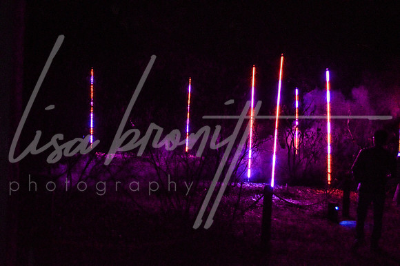 Enchanted Forest (nw)-288