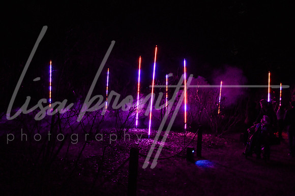 Enchanted Forest (nw)-290