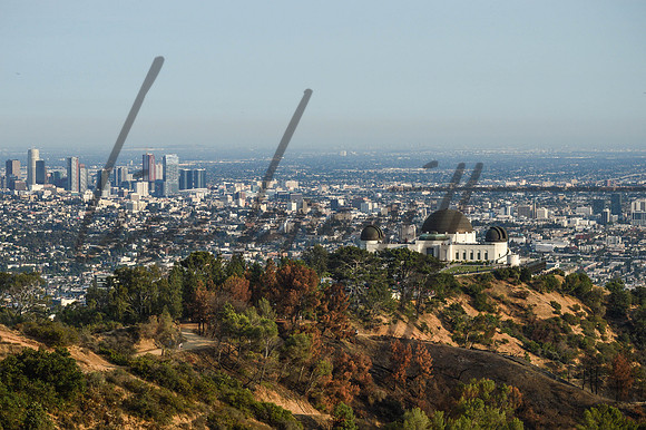 Griffith Observatory (nw)-41
