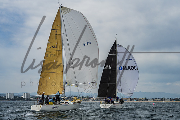 060125 CYC CRW-248