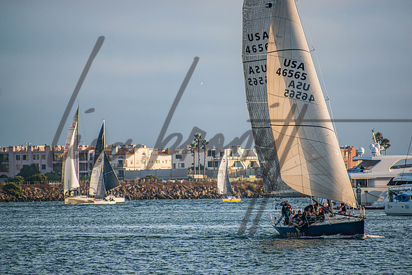 MDR Race 0810 (nw)-33