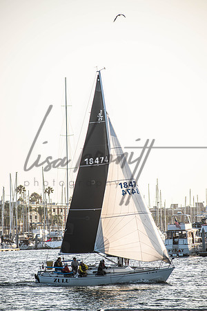MDR Race 0810 (nw)-219