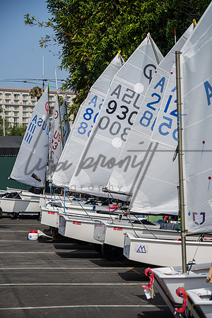 080225 Opti Championship-6
