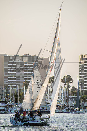MDR Race 0810 (nw)-177