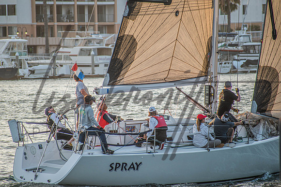 MDR Race 0810 (nw)-288
