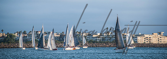 MDR Race 0810 (nw)-213
