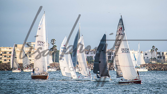 MDR Race 0810 (nw)-226