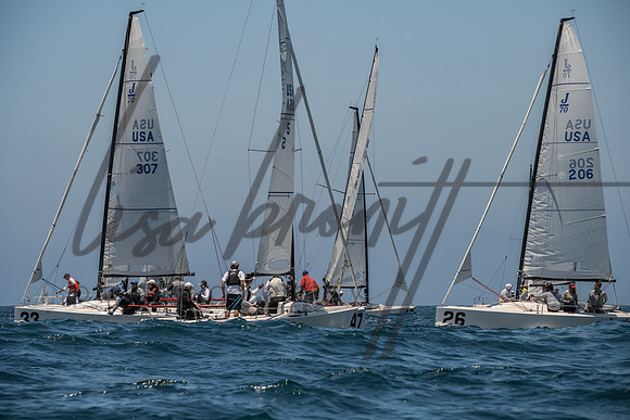 Cal Cup D1-25