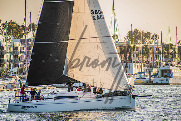 MDR Race 0810 (nw)-87