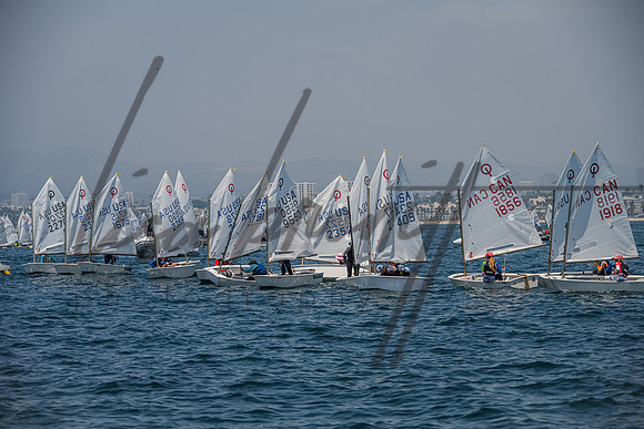 080325 Opti Championship-139