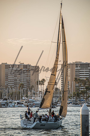 MDR Race 0810 (nw)-293