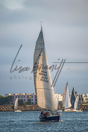 MDR Race 0810 (nw)-32