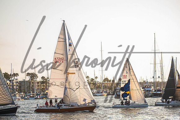 MDR Race 0810 (nw)-255