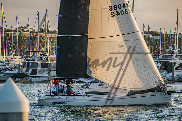 MDR Race 0810 (nw)-81