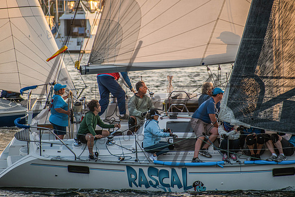 MDR Race 0810 (nw)-322