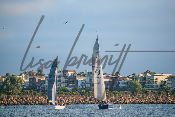 MDR Race 0810 (nw)-25
