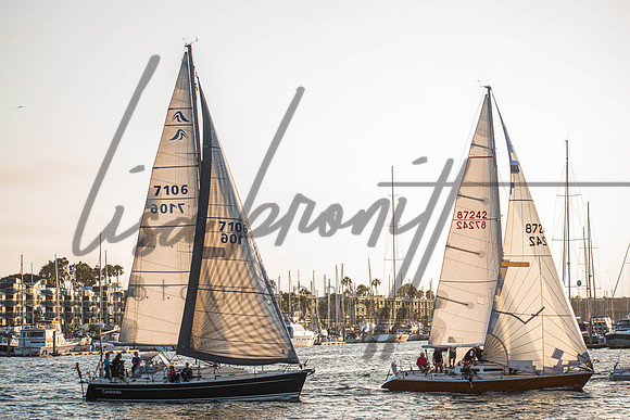MDR Race 0810 (nw)-258