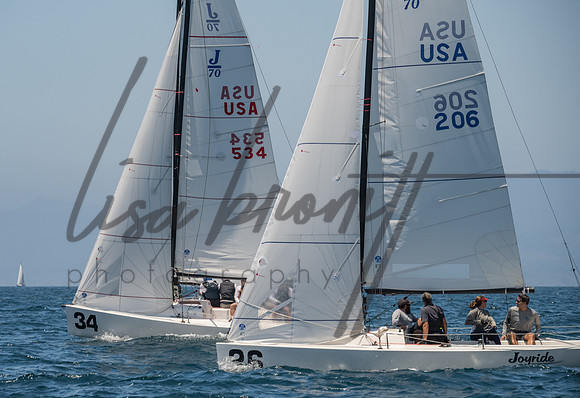 Cal Cup D1-79