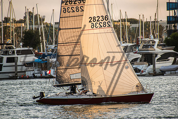 MDR Race 0810 (nw)-241