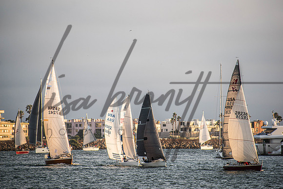MDR Race 0810 (nw)-228