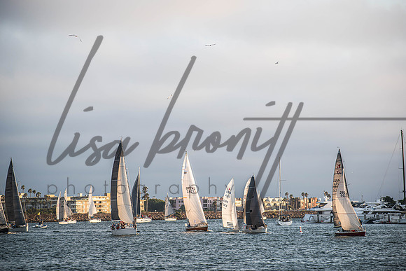 MDR Race 0810 (nw)-229
