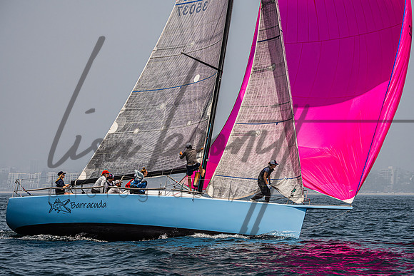 053125 CYC CRW-142