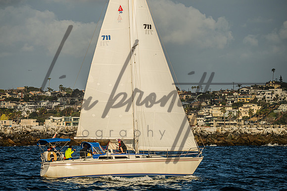041625 CYC SS-113