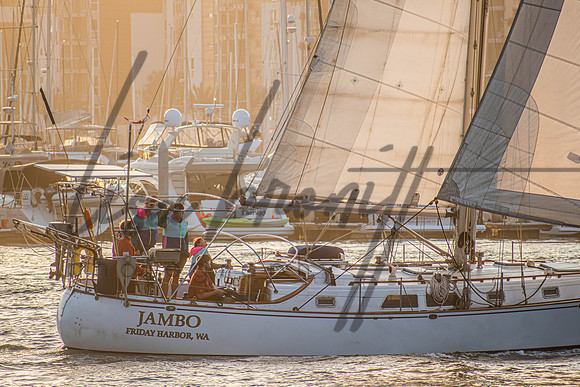MDR Race 0810 (nw)-283