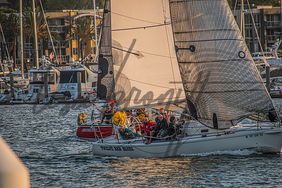 MDR Race 0810 (nw)-297