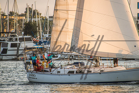 MDR Race 0810 (nw)-269