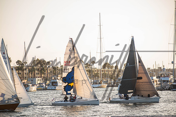 MDR Race 0810 (nw)-253