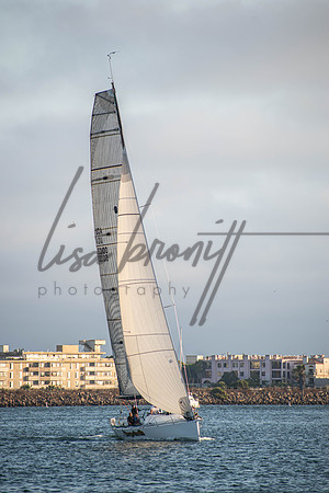 MDR Race 0810 (nw)-9