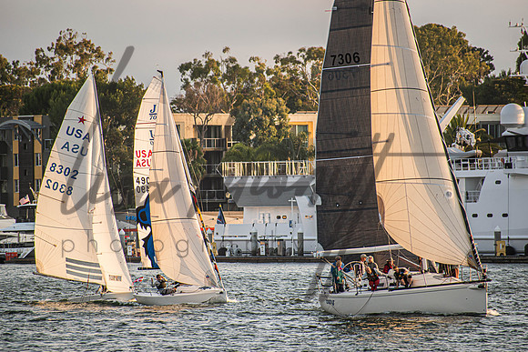 MDR Race 0810 (nw)-238