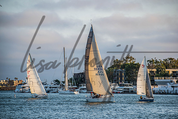 MDR Race 0810 (nw)-99