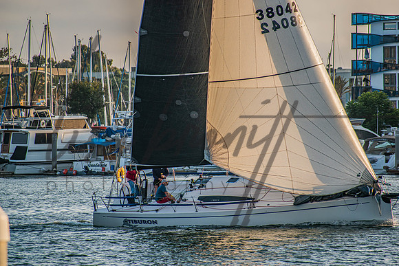 MDR Race 0810 (nw)-82