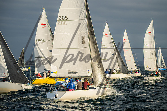 041625 CYC SS-97