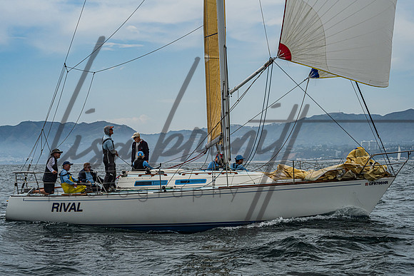 060125 CYC CRW-247