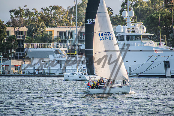 MDR Race 0810 (nw)-206