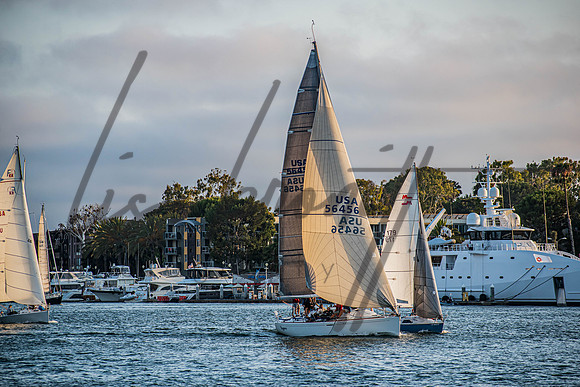 MDR Race 0810 (nw)-101